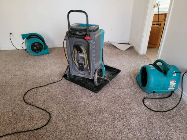 Best Basement water damage restoration  in Abingdon, MD