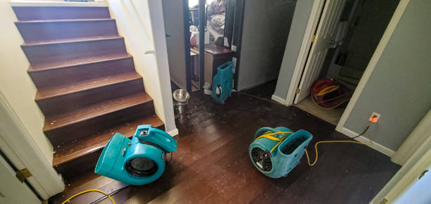 Best Professional water damage repair  in Abingdon, MD