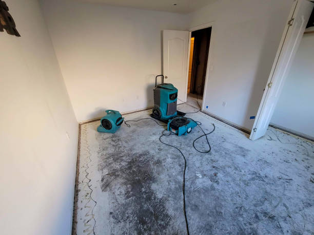 Best Local water damage restoration  in Abingdon, MD