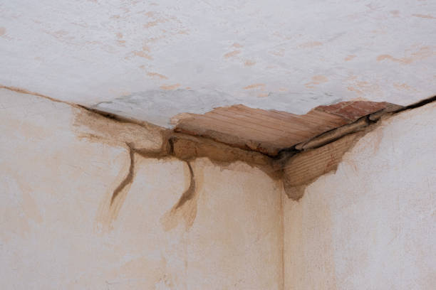 Best Fire Damage Restoration  in Abingdon, MD