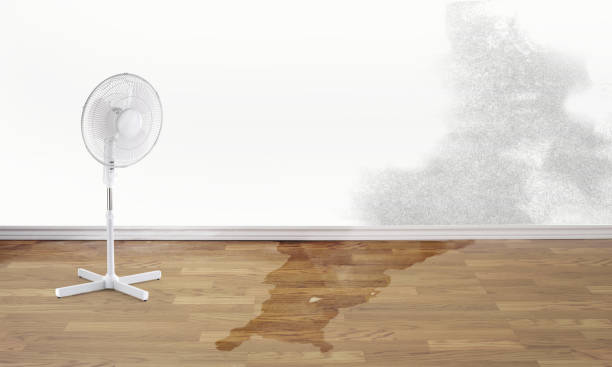 Reliable Abingdon, MD Water damage restoration Solutions