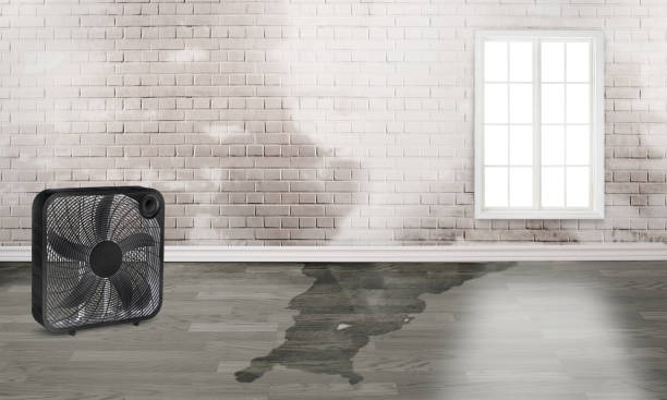 Best Ceiling water damage repair  in Abingdon, MD