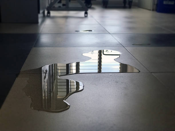 Best Water damage restoration near me  in Abingdon, MD