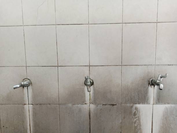 Best Flood restoration services  in Abingdon, MD