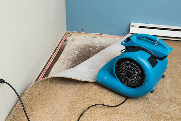 Best Sewage cleanup and water damage restoration  in Abingdon, MD
